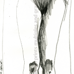 Bohemian Circus drawings 2014.